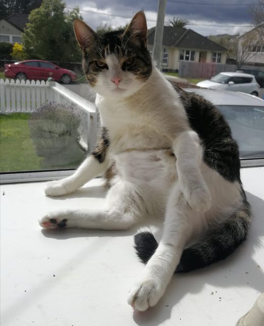 No photo description available.