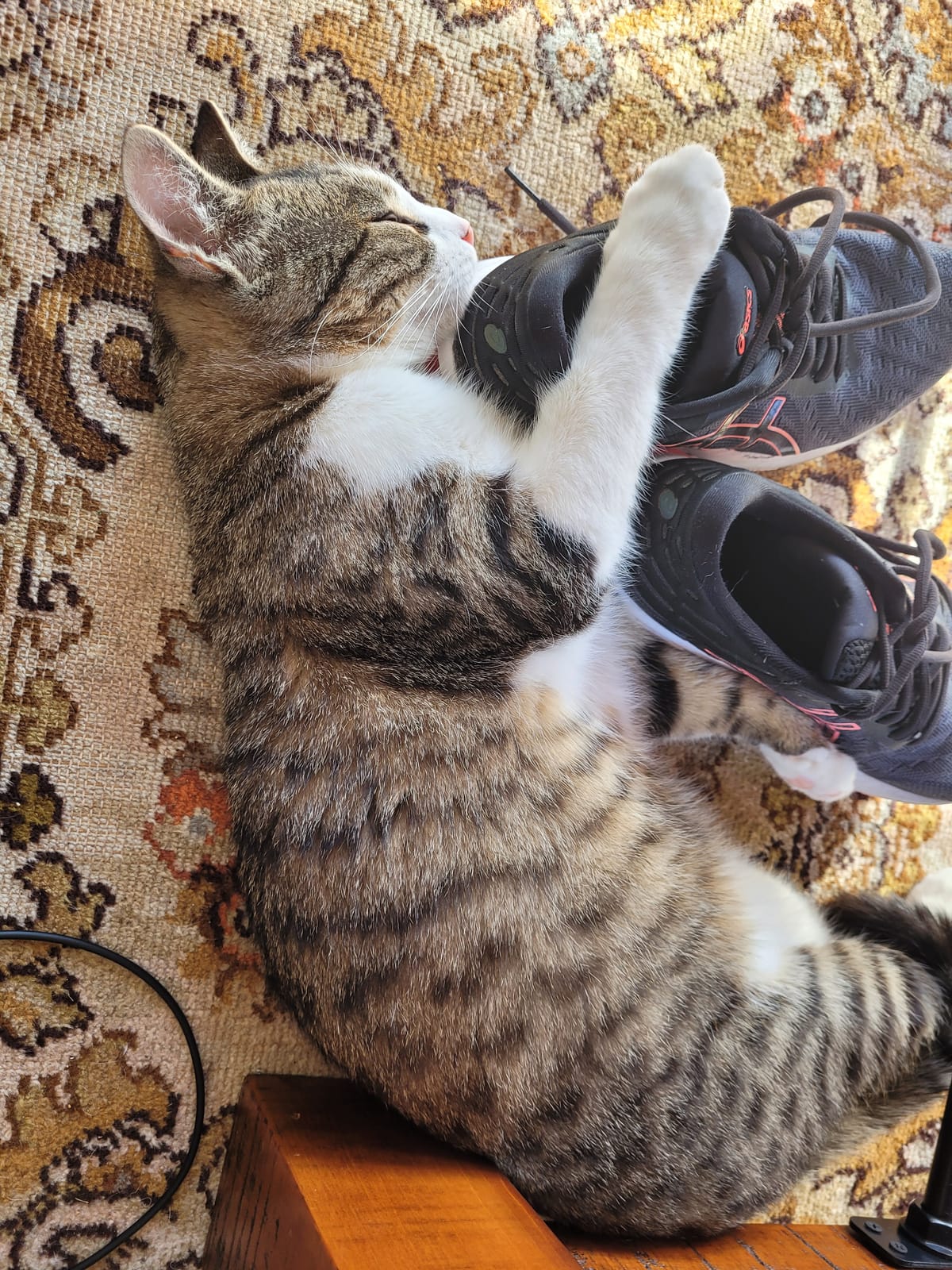 Thought for the day, 4 November 2021