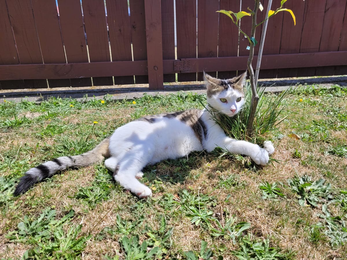 Happy new year from Atawhai!