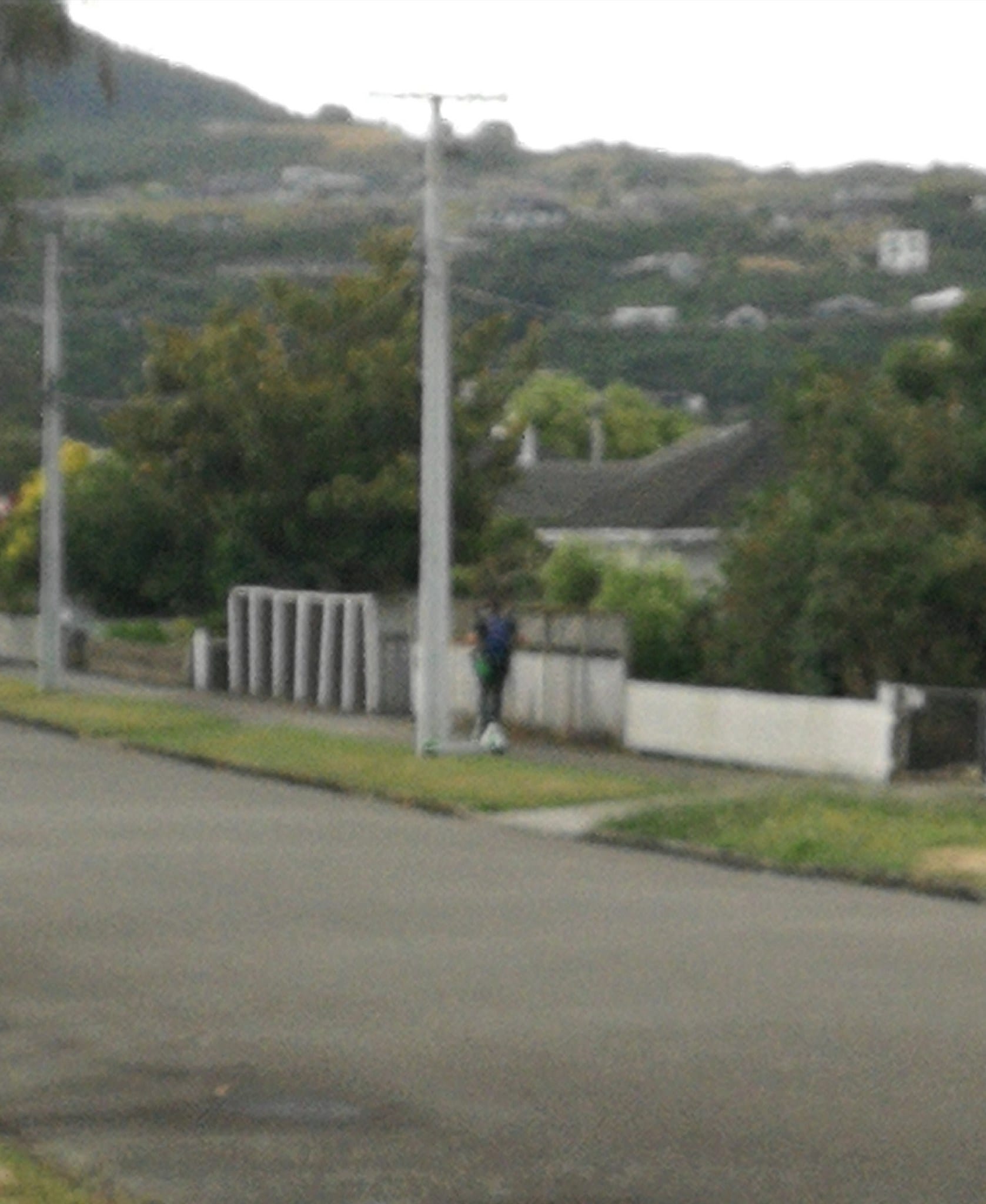 I just saw the most Upper Hutt thing of a lifetime