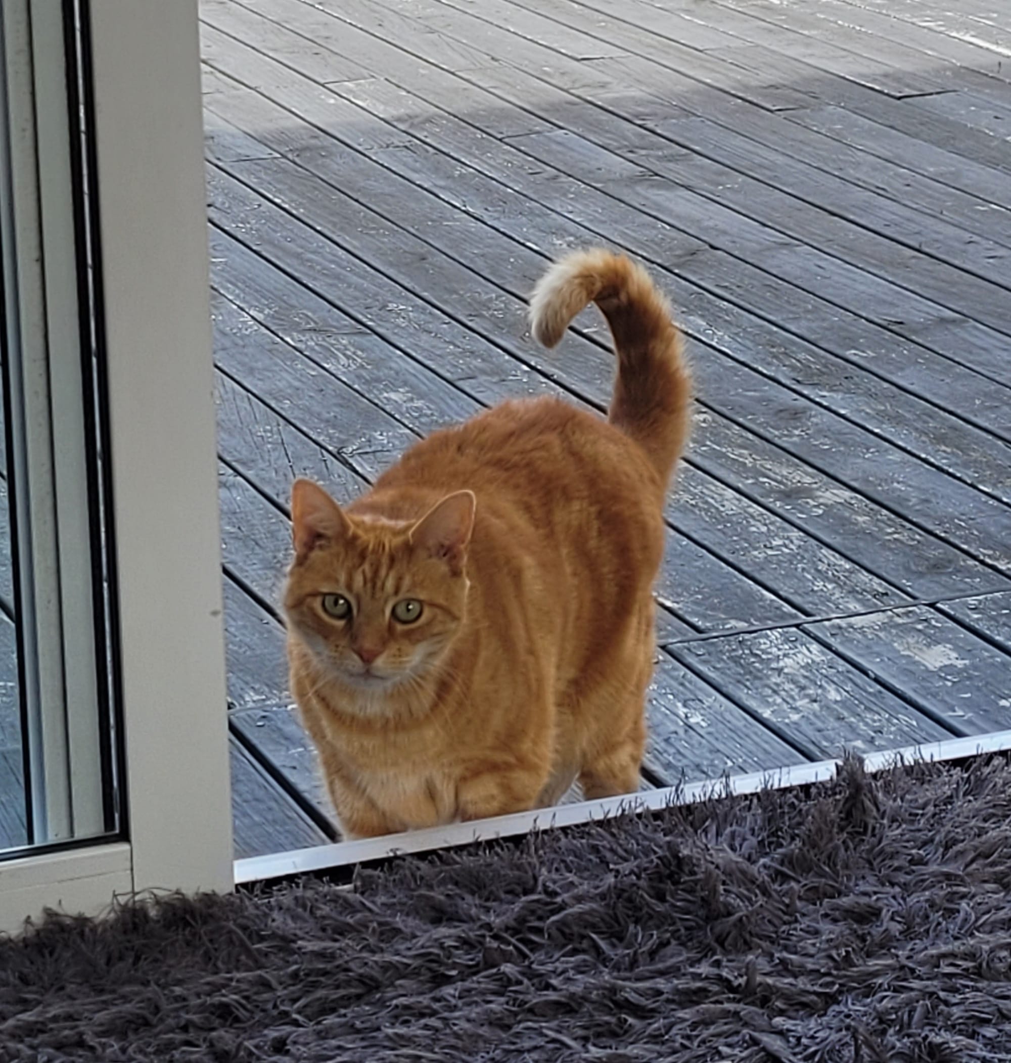 A Christmas miracle with a bad photo