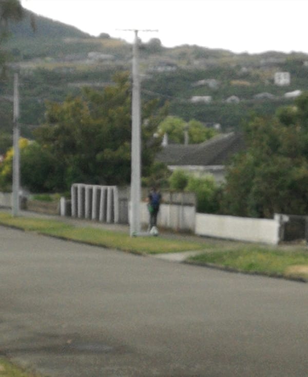 I just saw the most Upper Hutt thing of a lifetime