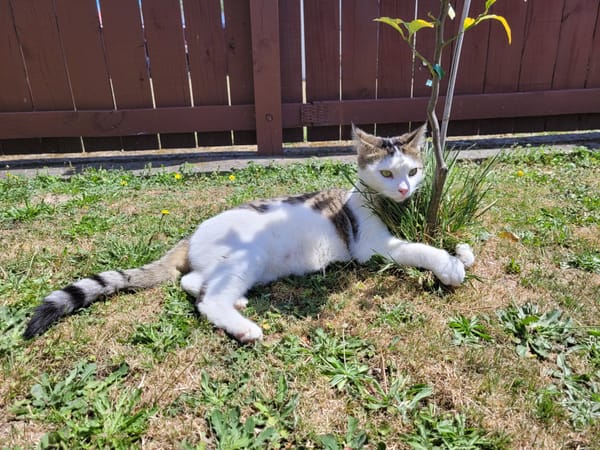 Happy new year from Atawhai!